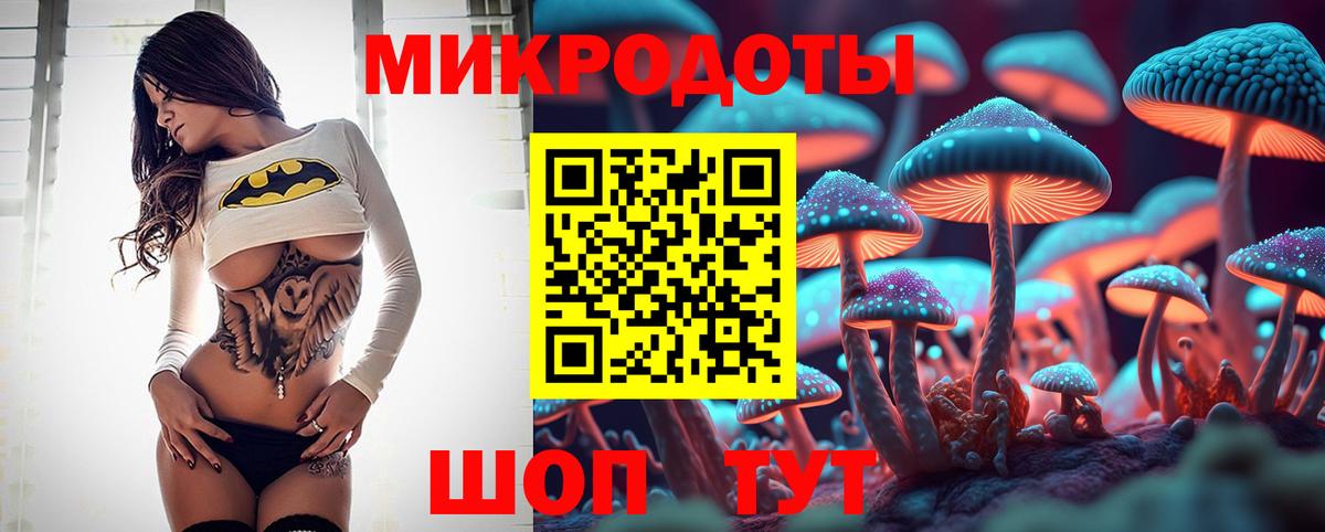 Ачхой-Мартан  наркота  Вход с VPN  Галлюциногенные грибы MAGIC MUSHROOMS 